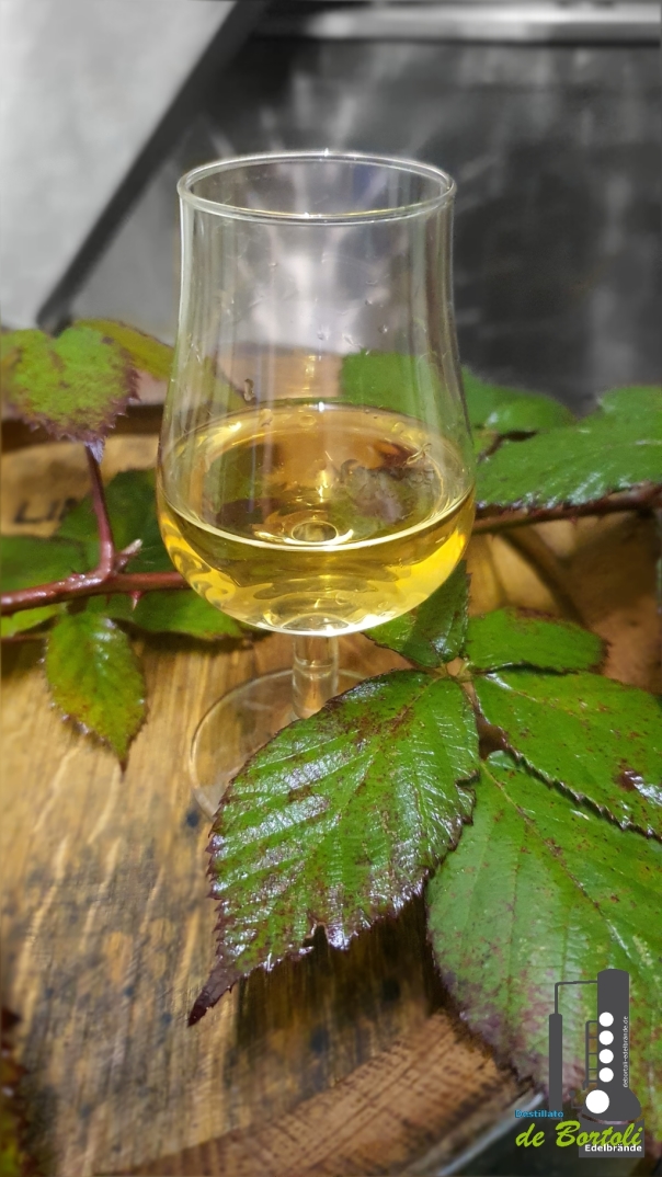 gin kai eigener alkohol einzigartig super lecker aus kraichtal unteröwisheim